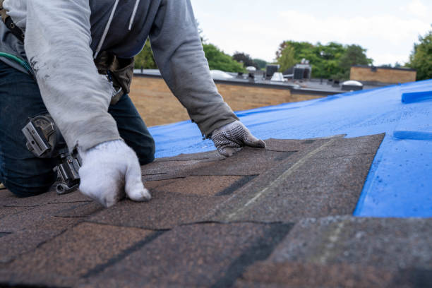 Quick and Trustworthy Emergency Roof Repair Services in Creighton, NE